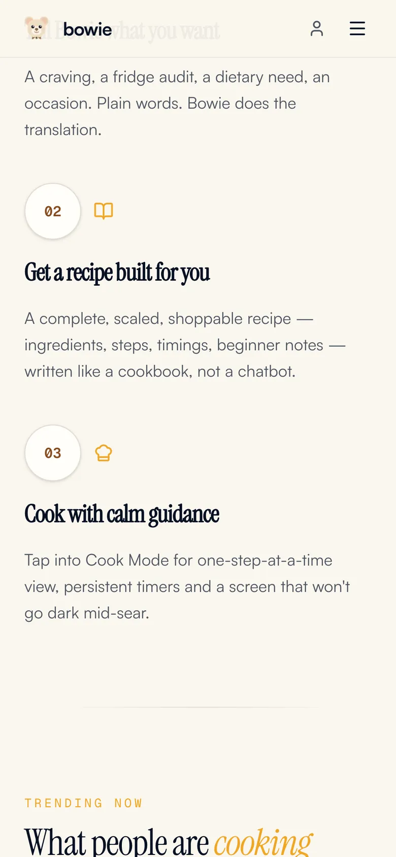 Mobile view of the Bowie website, screen 2