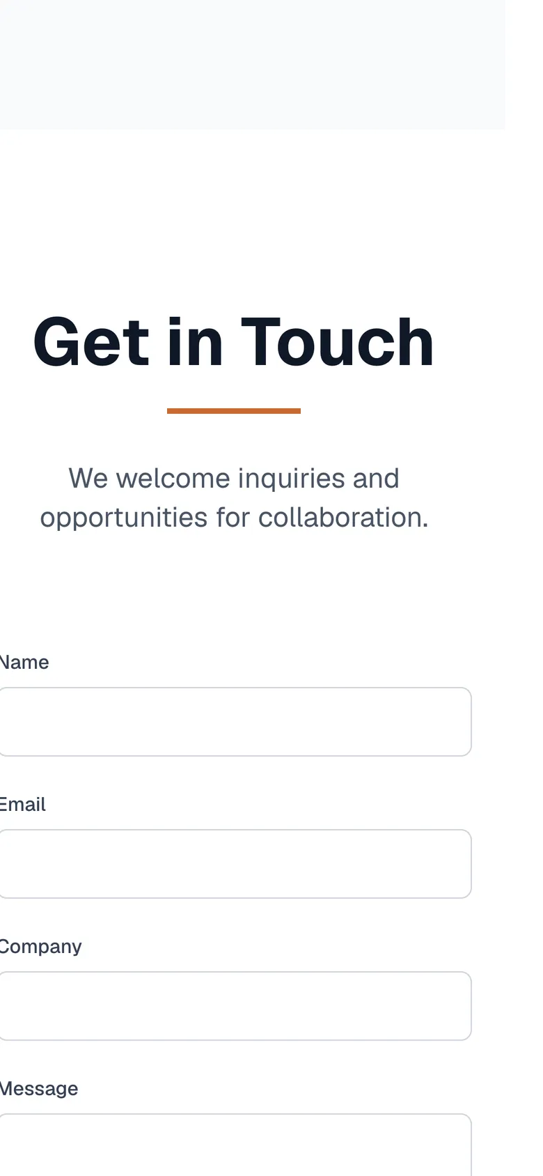 Mobile view of the Delion Holding website, screen 3